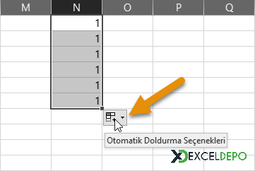 Otomatik Doldurma Seçenekleri