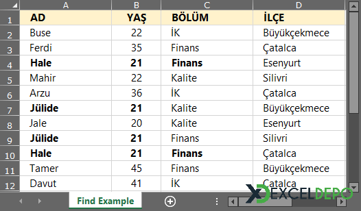 UserForm Üzerinden Kriter Bazlı Gelişmiş Bulma