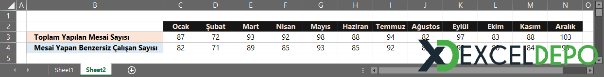 Toplam ve Kişi Bazlı Fazla Mesai Analizi