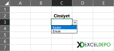 Bir Hücrede Sadece İstenilen İsimlerin Yazılması