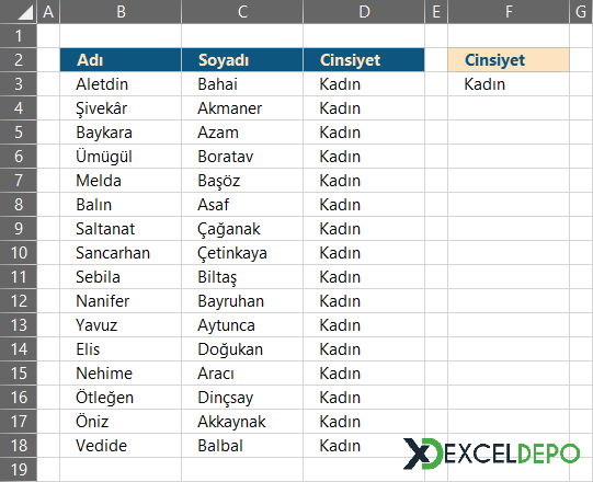 Seçilen Cinsiyete Göre Çalışanların Listelenmesi