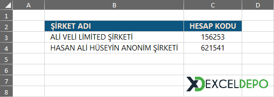 Şirket Bilgileri