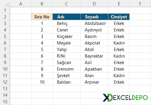 Formüller ile Dinamik Sıra Numarası Ekleme